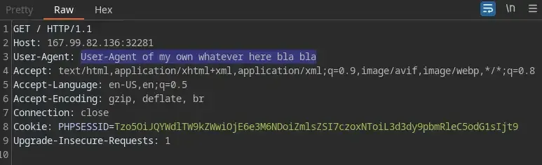 custom User-Agent Injecting User-Agent